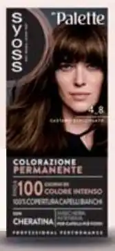 Carrefour Market Colorazione Syoss By Palette offerta
