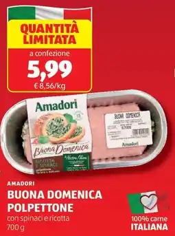 ALDI Amadori buona domenica polpettone offerta