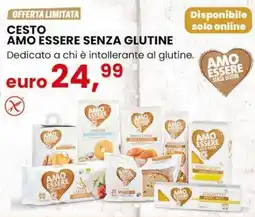 Eurospin Cesto amo essere senza glutine offerta