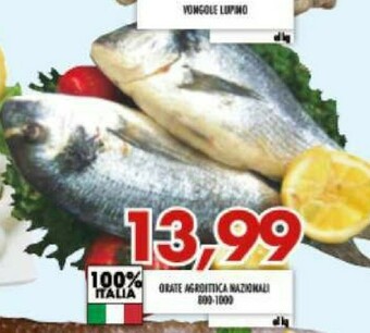 MA Supermercati Vongole offerta