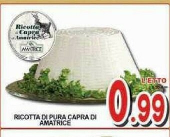 Sacoph Ricotta offerta