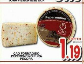 Sacoph Pecorino offerta