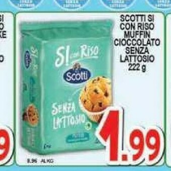 Sacoph Riso offerta