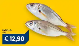 Esselunga Pagello offerta