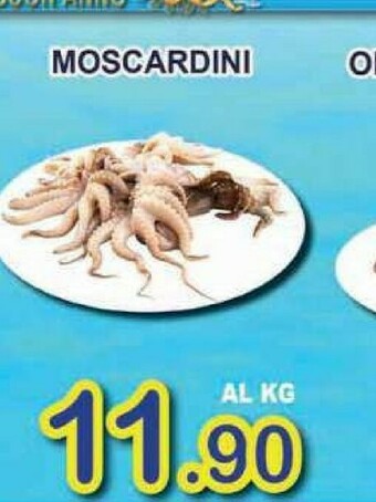 Sacoph Pesce offerta