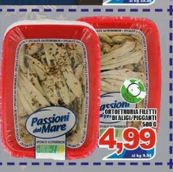 Sacoph Alici offerta