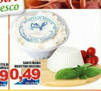 Sacoph Ricotta offerta