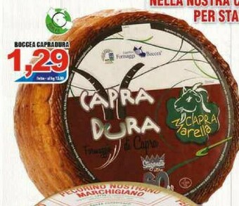 Sacoph Formaggio offerta