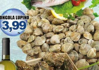 Sacoph Vongole offerta