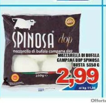 Sacoph Mozzarella di bufala offerta