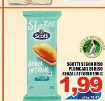 Sacoph Riso offerta