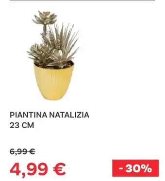 Max Factory Piantina natalizia offerta