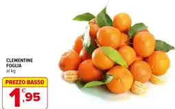 Iperal Clementine foglia offerta