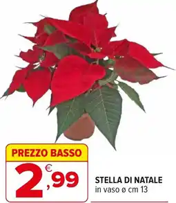 Iperal Stella di natale offerta