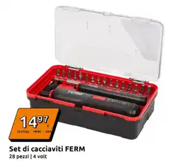 Action Set di cacciaviti FERM offerta