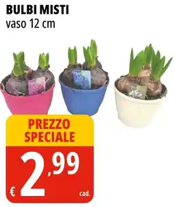 Tigros Bulbi misti offerta