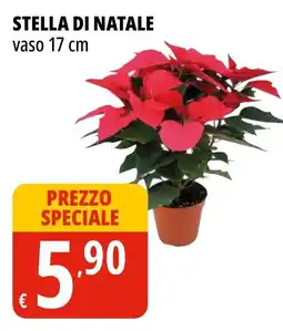 Tigros Stella di natale offerta
