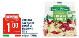 Tigros Iceberg e radicchio BONTÀ DI STAGIONE offerta