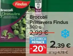Carrefour Broccoli Primavera Findus offerta