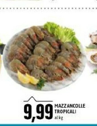Mazzancolle tropicali