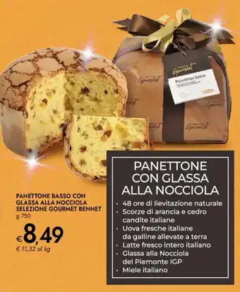 Panettone basso con glassa alla nocciola selezione GOURMET BENNET