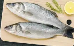 Bennet Branzino offerta
