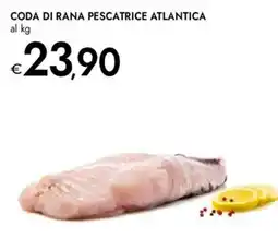 Bennet Coda di rana pescatrice atlantica offerta