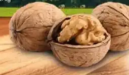 Bennet Noci sfuse offerta