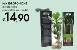 Bennet Mix idroponiche offerta