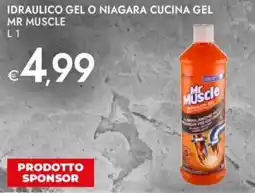 Bennet Idraulico gel o niagara cucina gel MR MUSCLE offerta