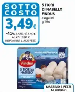 Basko 5 fiori di nasello FINDUS offerta
