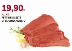 Basko Fettine scelte di bovino adulto offerta