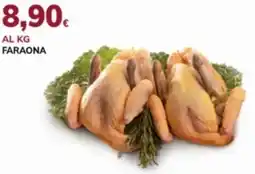 Basko Faraona offerta
