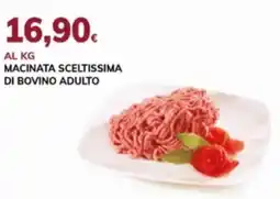 Basko Macinata sceltissima di bovino adulto offerta