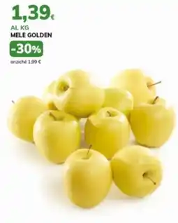 Basko Mele golden offerta
