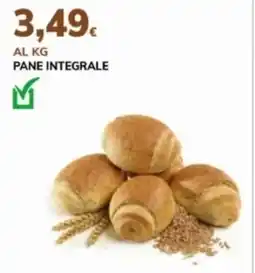 Basko Pane integrale offerta