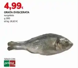 Basko Orata eviscerata offerta