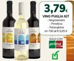 Basko Vino puglia IGT Negroamaro, Primitivo e Falanghina offerta
