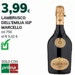 Basko Lambrusco dell'emilia IGP MARCELLO offerta