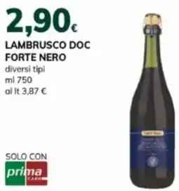 Basko Lambrusco doc forte nero offerta