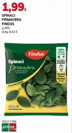 Basko Spinaci primavera FINDUS offerta