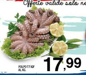 Sigma Polpo offerta