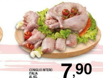 Sigma Coniglio offerta