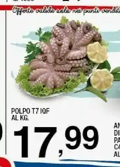 Sigma Polpo offerta
