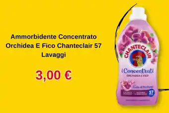 Ammorbidente Concentrato Orchidea E Fico Chanteclair