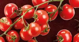 Lidl Pomodoro Ciliegino offerta