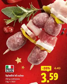 Lidl Spiedini di suino offerta