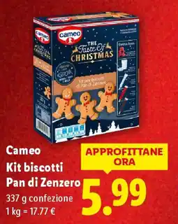 Lidl Cameo Kit biscotti Pan di Zenzero offerta