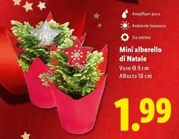 Lidl Mini alberello di Natale offerta