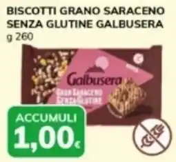 Basko Biscotti grano saraceno senza glutine GALBUSERA offerta